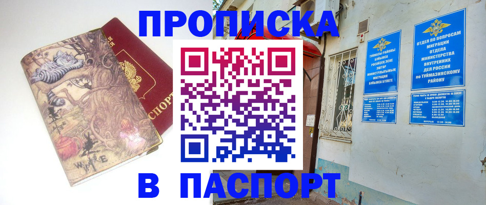 пропишу в квартире в Асино